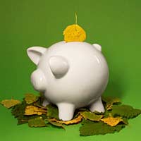 Savings Accounts Environment Financial